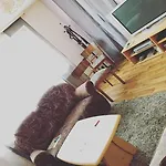 Private Including Breakfast Near Exhibition Center * Hannover